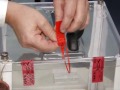 Видео Можно ли избежать фальсификаций на выборах?