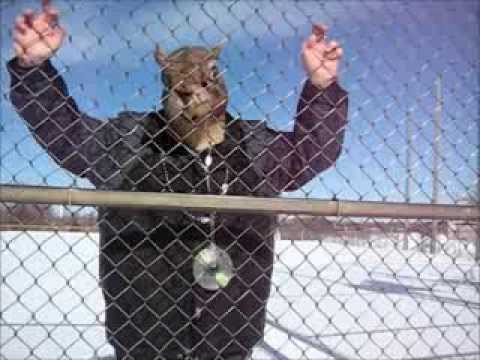 Quirrel Force of One - A Rapper's Playground Quirrel Force of One - A Rapper's Playground klip izle