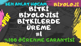 Bi̇tki̇ Bi̇yoloji̇si̇ Konu Anlatimi 25 Bi̇tki̇de Üreme 1 Ayt Bi̇yoloji̇