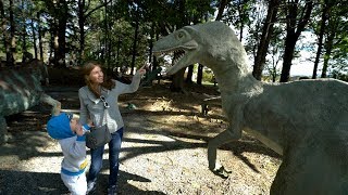Discover Fun for Families in Shenandoah Valley, Virginia.