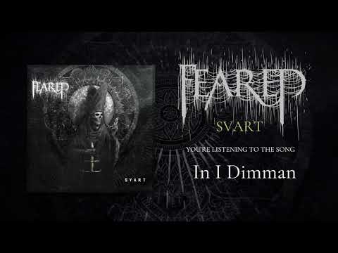 In I Dimman Video