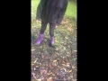 Char's Purple Boots In Mud
