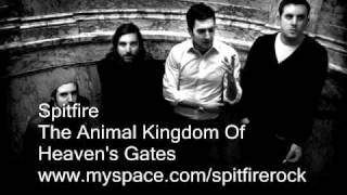 Watch Heavens Gate Animal video