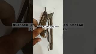 Nishoth Kali Black Turbad Indian Jalap Nutrixia.in