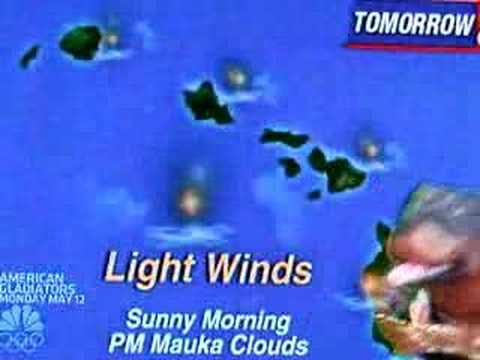 triumph insult dog hawaii weather