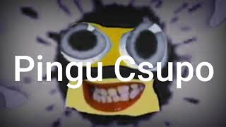 Pingu Csupo 1998-2008