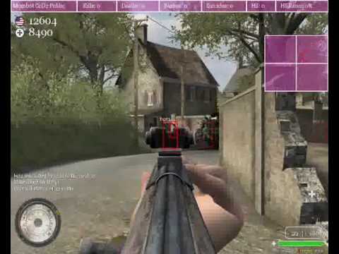 call of duty 2 mombot hack. add me and i send you this hack :) mombot.co.uk.