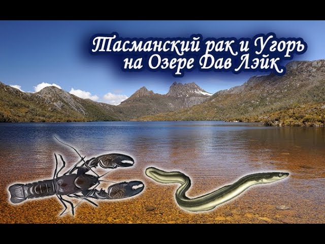 Фабрика Радуги Рисунки Сценки на День медицинского работника - Медицинские - Сценки