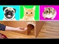 3 Cool Cardboard Crafts That Will Knock Your Socks Off 3 Cool Cardboard Crafts That Will Knock Your Socks Off