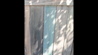 Stain your fence with Color!