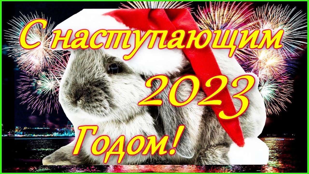 Порно Саша Грей 2023 Года