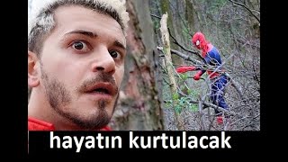 Belgo Türk Bu Vi̇deoyu İzle