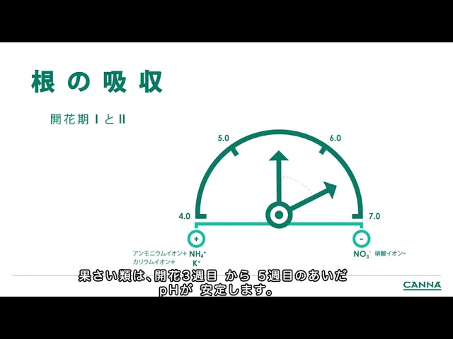 Watch (日本/Japanese) CANNA Webiner pH (日本語) on YouTube.