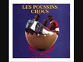 Poussins chocs-Nanan Boigny