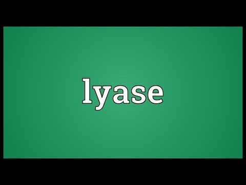 Header of lyase