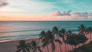 Море, Пальмы И Песок | Гавайи - День И Закат
