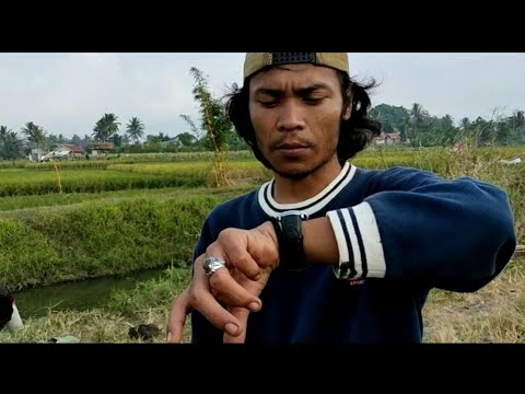 Nyirib lagi #Sirib #Caranyariikan #Mancingdisungai #nyiribdiririgasi