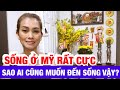 Sống Ở Mỹ Rất Cực Mà Sao Ai Cũng Muốn Đến Mỹ Sống Vậy?♻️ Live In The U.S♻️ T.117