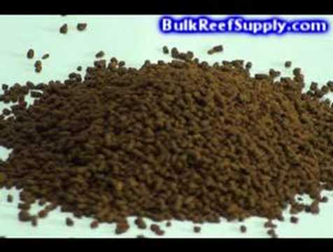 Bulk reef supply coupon code