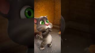 Talking Tom Cat New Video Best Funny Android Gameplay