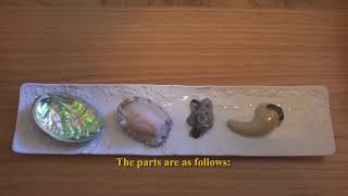 Abalone Anatomy - Japanese Ezo Awabi - English Subles
