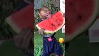 Muchali Maymunlar Bomi