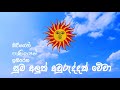 Happy New Year - Sinhala ha Hindu Aluth awurudda - 2019DAS Video