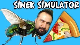 Si̇nek Si̇mulatör