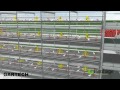 GARTECH FIENHAGE , layer battery cages , jaulas de Pollos Engorde