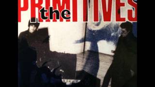 Watch Primitives Never Tell video