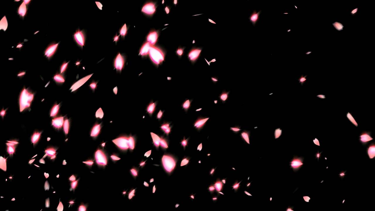Sakura Cherry Blossom Effect - YouTube
