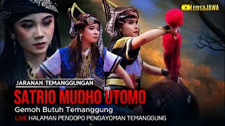 Jaranan Temanggungan Satrio Mudho Utomo Gemoh Butuh - Live Halaman Pendopo Penoman Temanggung