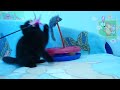 Черный плюшевый котик