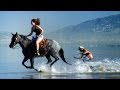 Horse Surfing! Most Epic Skim Tricks! | DEVINSUPERTRAMP