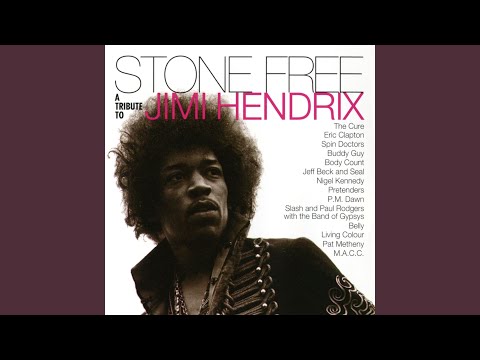 Are You Experienced Video