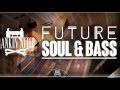 Future Soul & Bass - Downtempo Samples & Loops - By Rankin Audio