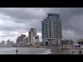 דולפינריום