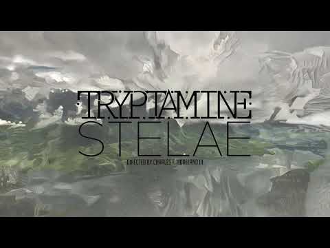 Tryptamine - Stelae (Official Music Video)