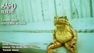 Sapo Sentado Como Ser Humano Pensando Na Vida - Em Full Hd