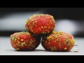HOW TO MAKE Cap'N Crunch Berry Glazed Donut Holes Recipe  |  HellthyJunkFood