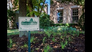 Conservation @ Home - Native Plant Install