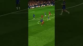 fP1qnMLoYzg Video Image