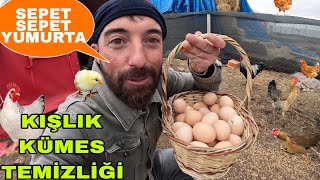 Kümese Kiş Temi̇zli̇ği̇sepet Sepet Yumurtatavuklari Beslemekkuzulara Çuvalla Mama