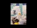 LEGO Minifigures Series 13 Unicorn Girl, Snake Charmer, and names revealed!