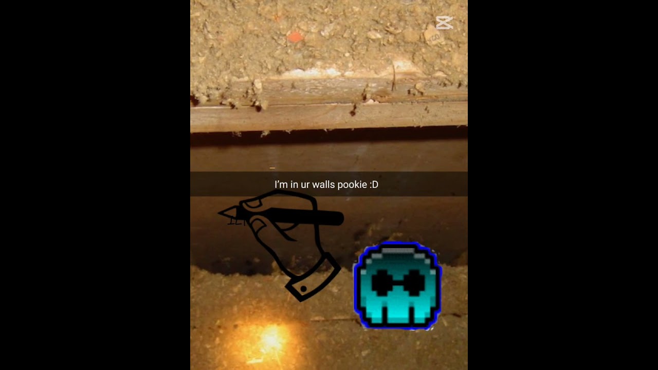 im in your walls :) #geometrydash #gd #frp #shorts im in your walls :) #geometrydash #gd #frp #shorts