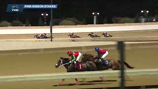 2022 Misty Bennet Pink Ribbon Stakes - Franks Rockette
