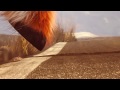 Lama Drama Full Movie Part One Zeichentrick Anime Kinderfilm 2012 ...