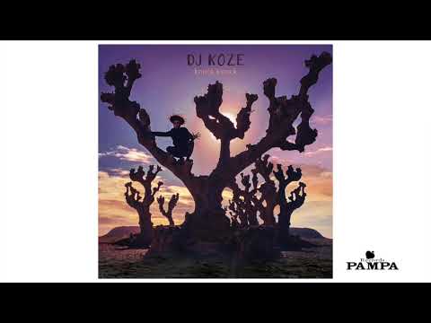 DJ Koze - Club der Ewigkeiten