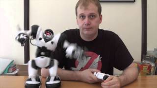 Infomercialism: Robosapien