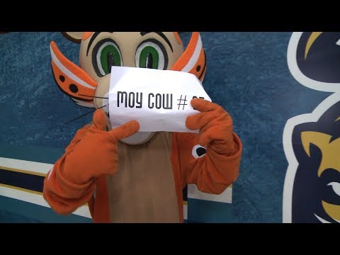 "Танцуй, школа!": Жеребьевка отборочного этапа